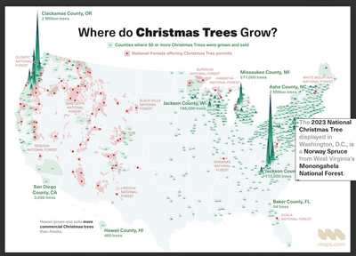 featured image thumbnail for post Christmas Tree Growers & Sellers - Champs for 2023